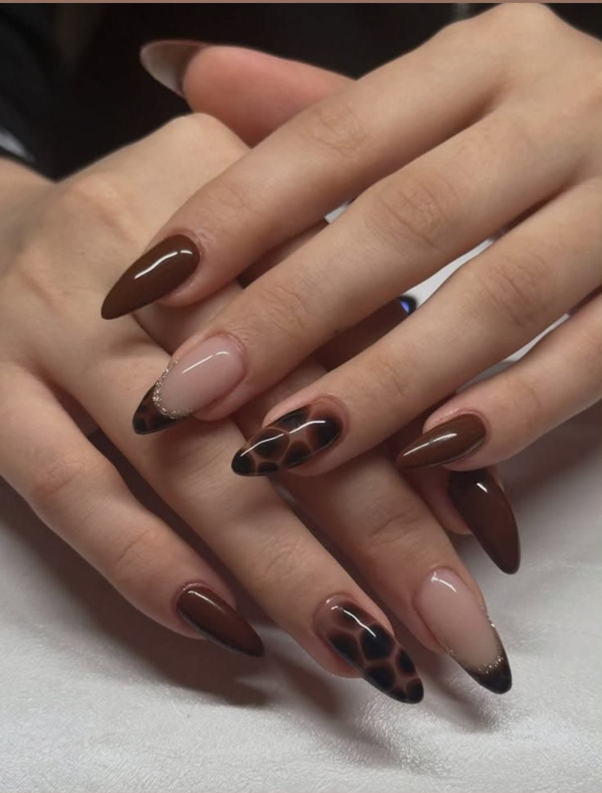 Chocolate Tortoise Print Press-On Nails